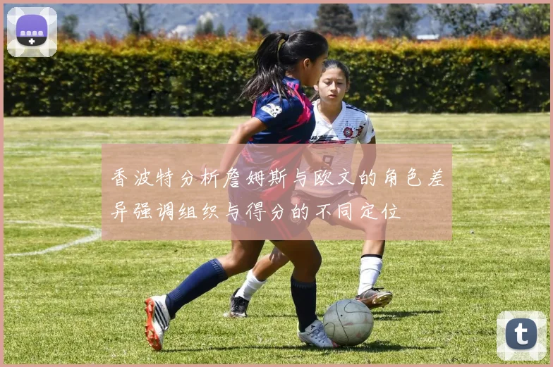 香波特分析詹姆斯与欧文的角色差异强调组织与得分的不同定位